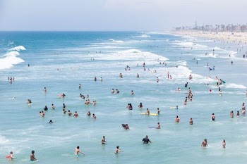 aerial view of group of people swimming on beach