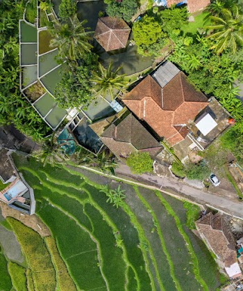 Aerial View of House