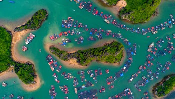 Aerial View of Island