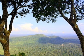 Aerial View of Land and Mountain Terrain