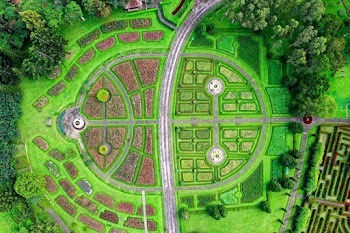 Aerial View of Maze Garden