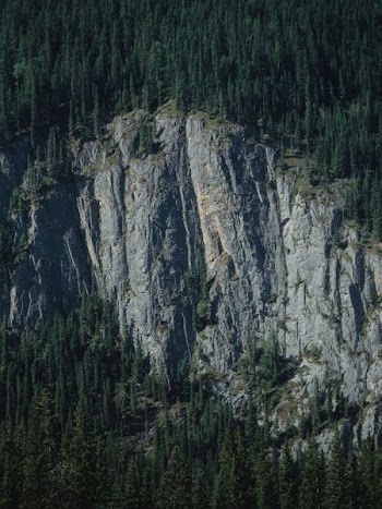 aerial view of mountains and trees during daytime
