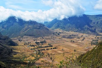 aerial view of mountains with green trees