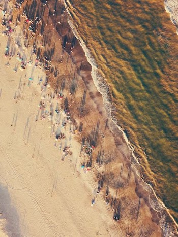 aerial view of people near body of water