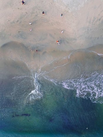 aerial view of people on seashore