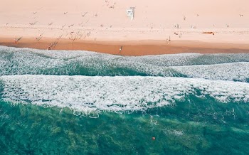 aerial view of people standing near seashore