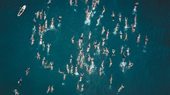 Aerial View of People Swimming on Sea