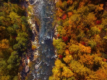 Aerial View of River