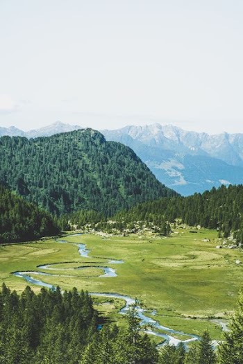 aerial view of river and grassland