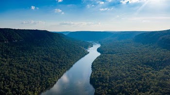 Aerial View of River and Island