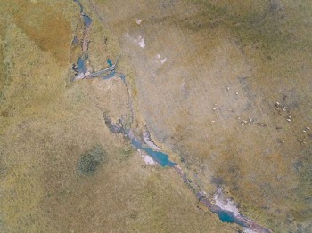 aerial view of river during daytime
