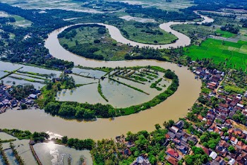 Aerial View of River Near Houses and Trees