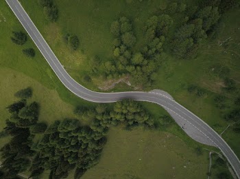 Aerial View of Road Between Trees