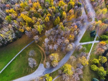aerial view of road surrounded by trees