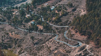 Aerial View of Road Surrounded by Trees