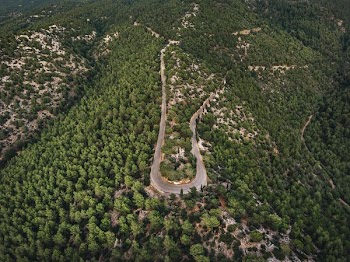 aerial view of road surrounded by trees