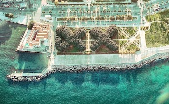 Aerial View of Seashore