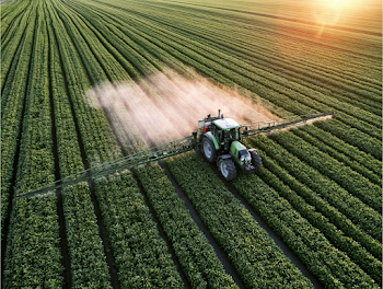 Aerial View of Tractor Spraying Crops in Golden-Hour Light