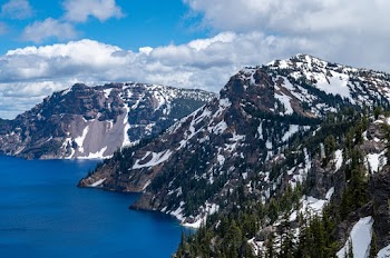 Aerial View of Trees and Mountain Near Ocean