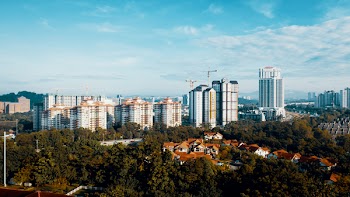 Aerial View of Trees Near Buildings