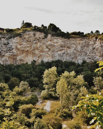 Aerial View of Trees Near Cliff