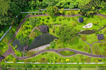 Aerial View of Trees, Pond and Houses
