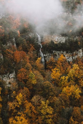 aerial view of waterfalls surrounded by tall trees with fog