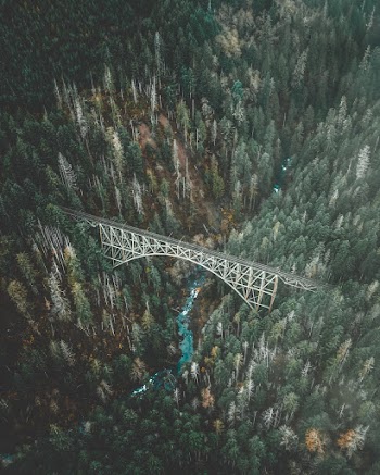 Aerial View of White and Grey Metal Bridge Surrounded by Forest Trees