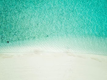 aerial view of white sand beach