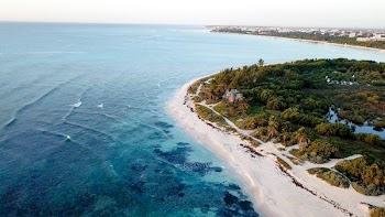 Aerial View of White Sand Beach With Green Trees and Clear Crystal Water