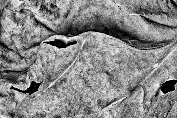 aerial view ofa landscape