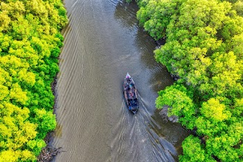Aerial View Photo of Boat on River
