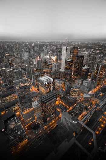 aerial view photo of city