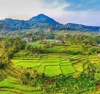Aerial View Photo of Farmland