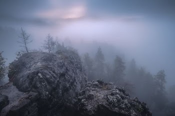 aerial view photo of mountain with trees covered with smoke