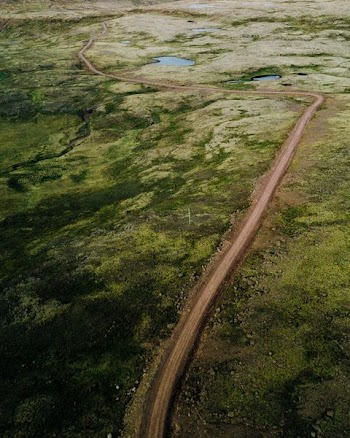 aerial view photo of road and green land area