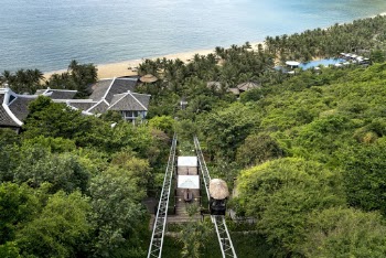 Aerial View Photo of Trees Near Beach