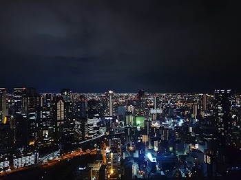 aerial view photography city building