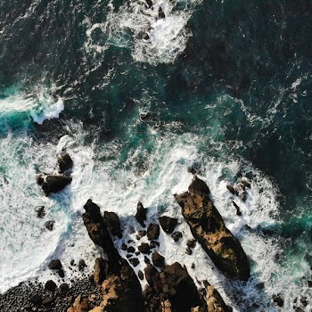 Aerial View Photography of Beach