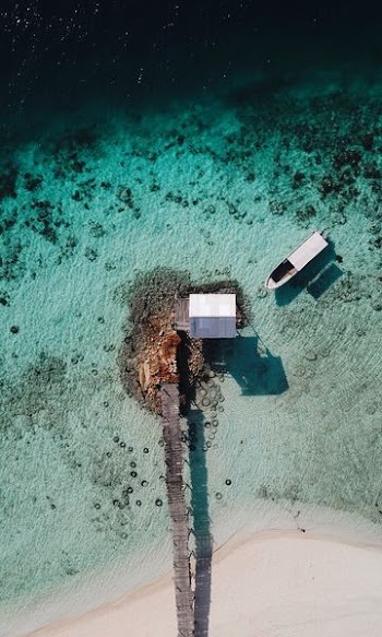 aerial view photography of beach