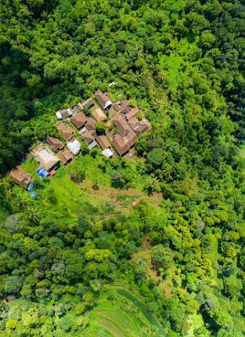 Aerial View Photography of Brown Houses Surrounded by Trees