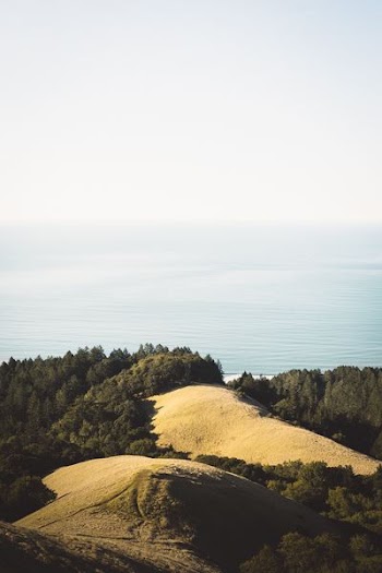 aerial view photography of brown mountain surrounded by body of water