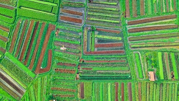 Aerial View Photography of Field