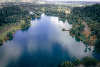 Aerial View Photography of Lake Near Trees