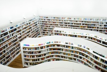 aerial view photography of library