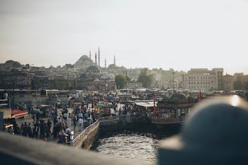 Aerial View Photography of People Beside Body of Water