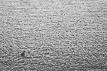 aerial view photography of person in ocean during daytime