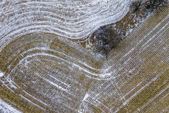 Aerial View Photography Of Rice Field