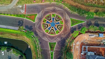 Aerial View Photography of Road and Plants