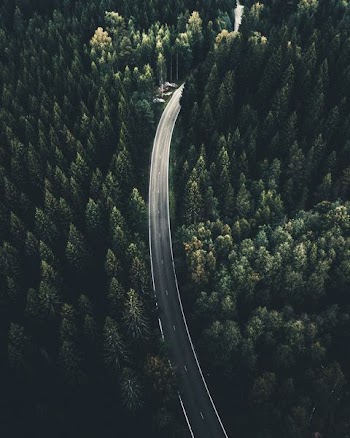 aerial view photography of road between palm tree